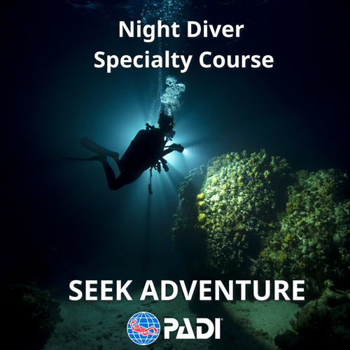 Night Diver Speciality